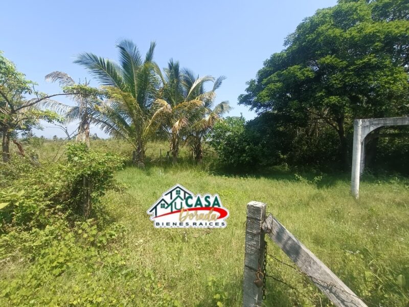 TERRENO EN VENTA COL. LAS BARRILLAS