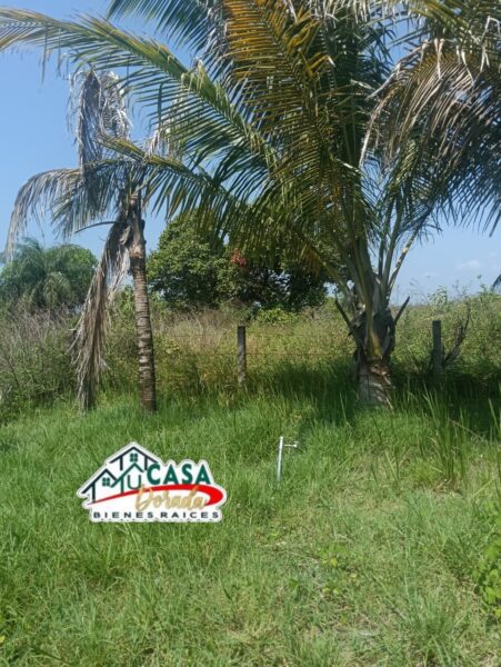 TERRENO EN VENTA COL. LAS BARRILLAS