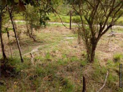VENTA DE TERRENO EN BARRAGATITLAN, VER.