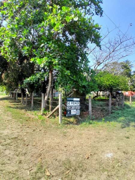 Terreno en Venta en calle Palmas, Las Barrillas, Coatzacoalcos