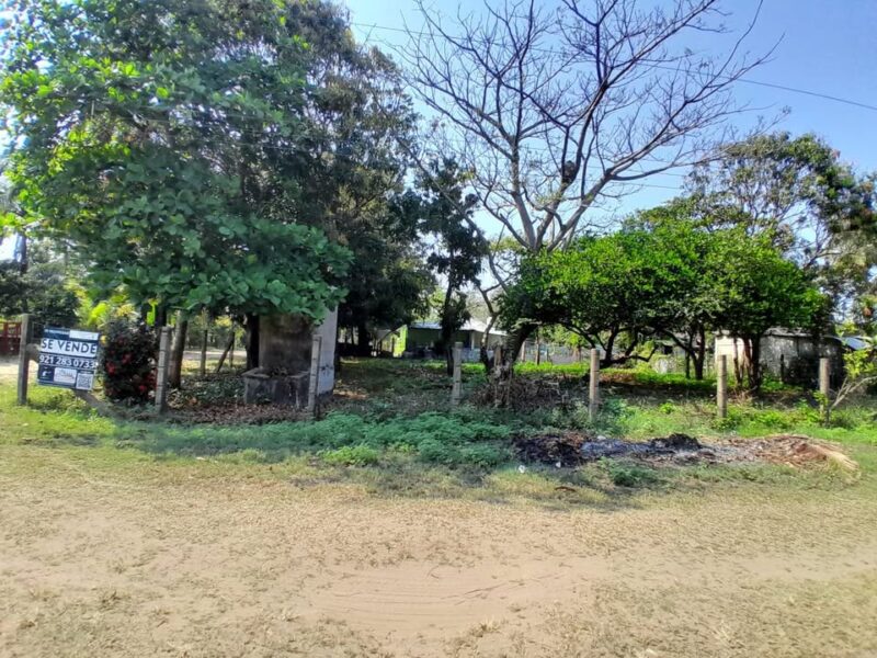Terreno en Venta en calle Palmas, Las Barrillas, Coatzacoalcos