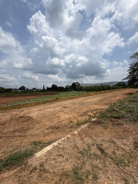 Terrenos de inversión en Residencial Las Flores $3500 m2 |Acayucan, Ver.