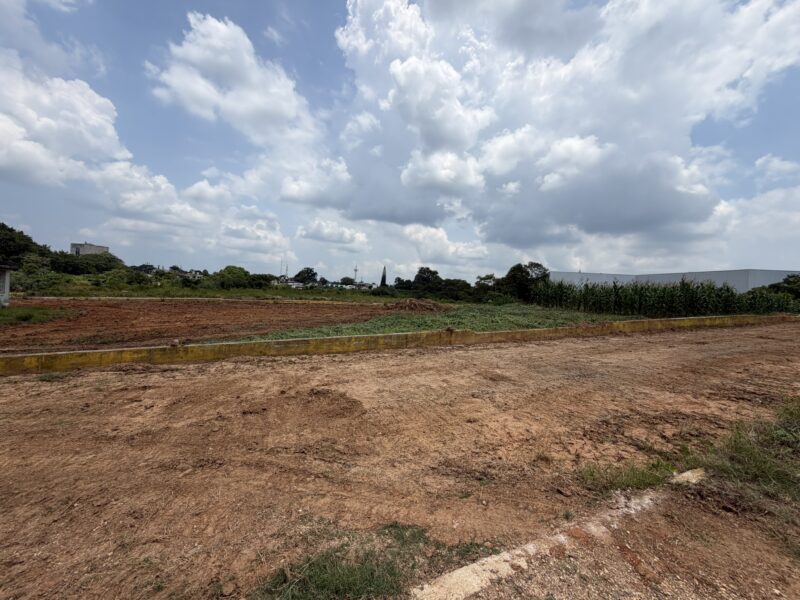 Terrenos de inversión en Residencial Las Flores $3500 m2 |Acayucan, Ver.